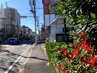 Saiwaicho Higashikurume-shi in November