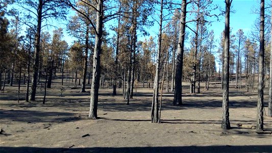 TunnelFireBAER_20220430_moderateSBSnearFR414_DickFleishman