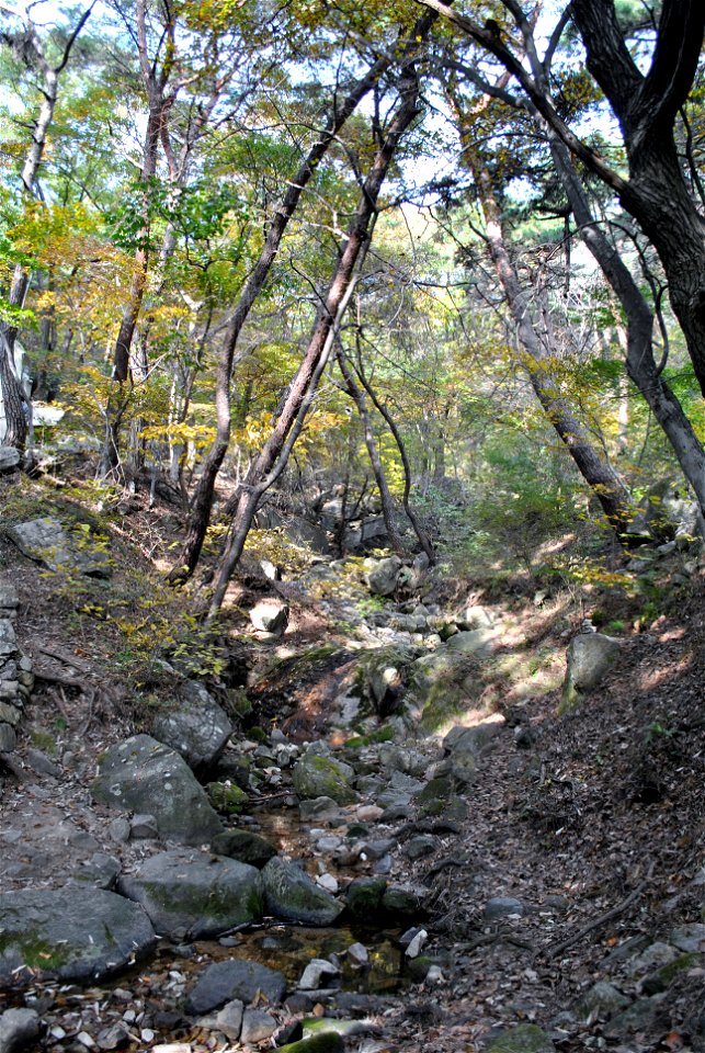 Deoksungsan Mountain