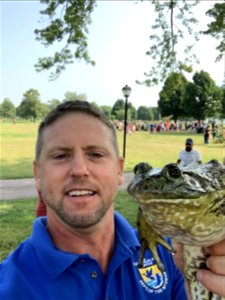 American bullfrog at a USFWS outreach event