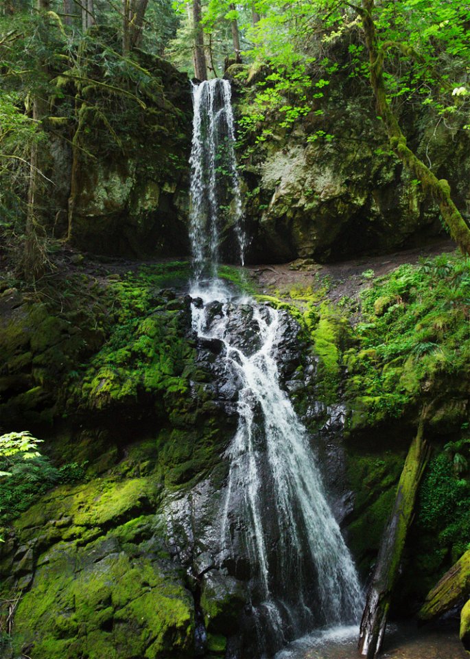 untitled-1369jpg_49364007093_o