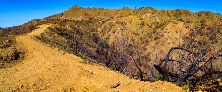 Coalinga Mineral Springs