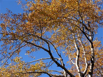 20211019-FS-Superior-SAR-001