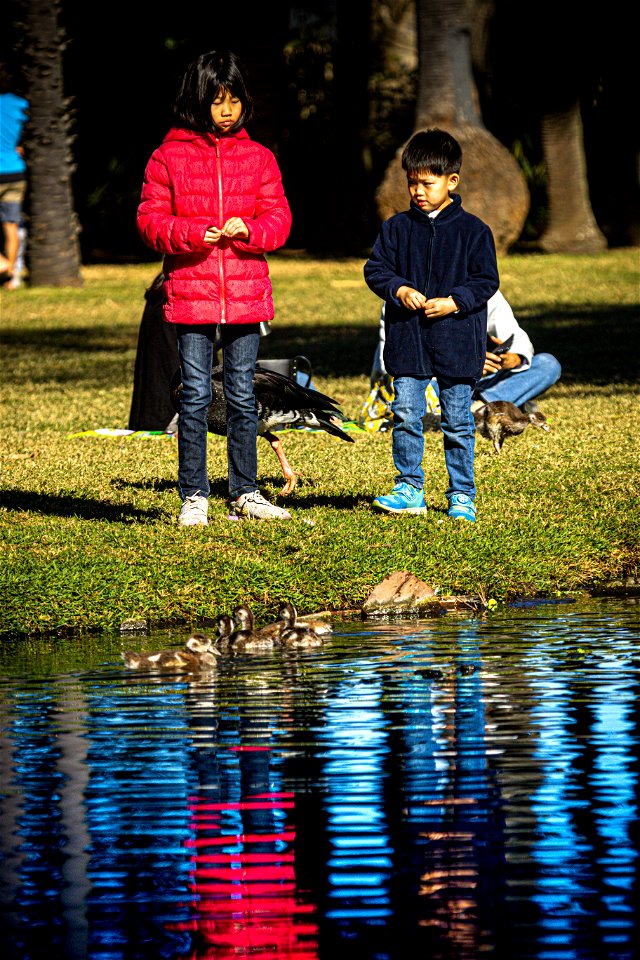 Reflections At the Park photo