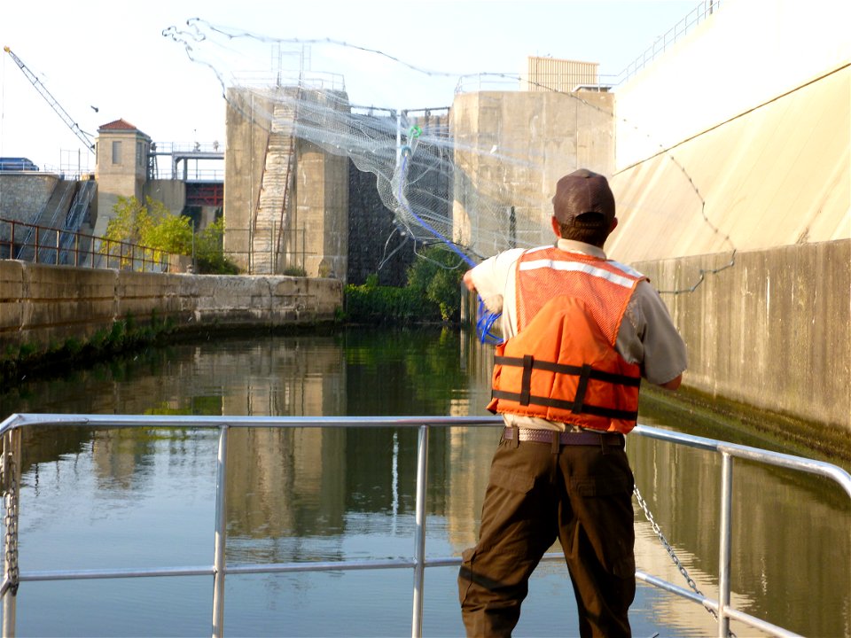 Fish Netting photo