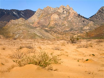 Owens Peak Wilderness Area (Short Canyon)