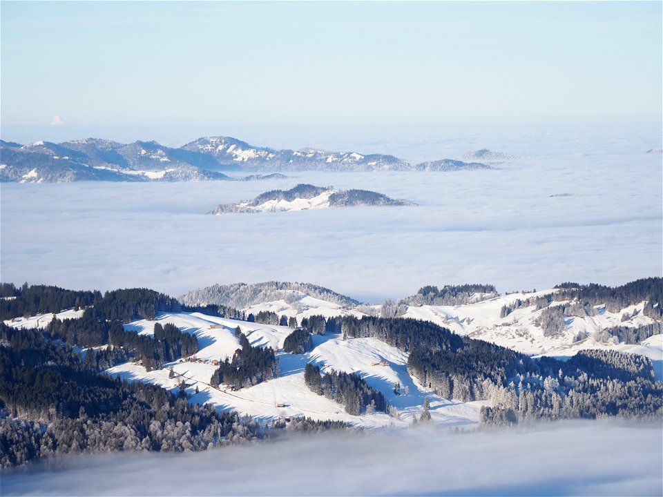 Winter Wonderland