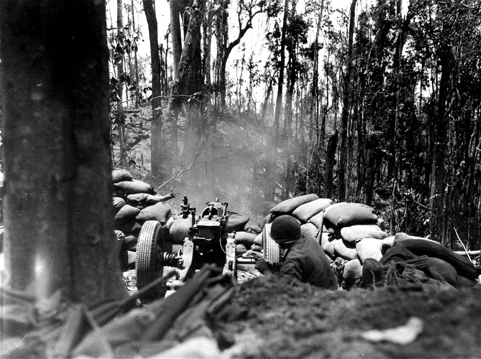 SC 364606 - A 75mm cannon was carried to the 132nd Inf. Regt's front lines on Hill 260, by native labor, and was used for point blank fire against the Jap pill box that commanded the crest of the hill.