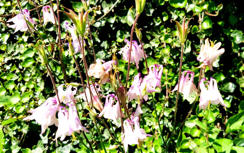 IMG_20220527_120410