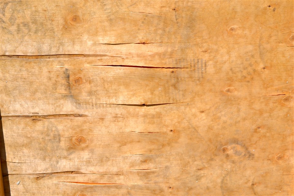 Texture