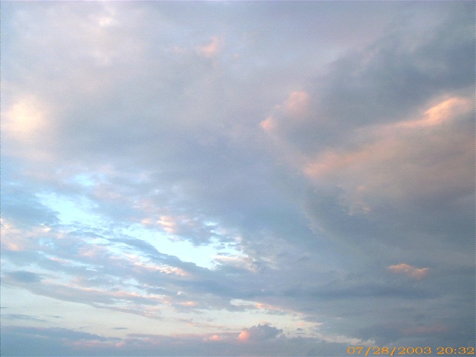 apus-caleavitan2003_0729_084206_17126266787_o