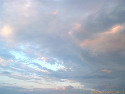 apus-caleavitan2003_0729_084206_17126266787_o