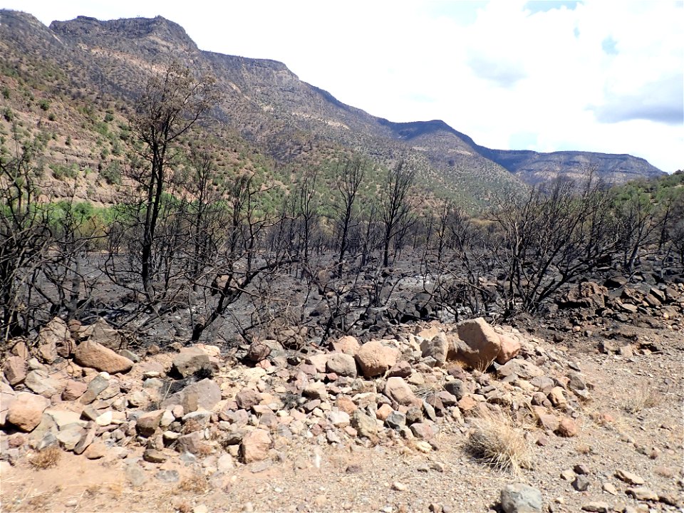 Fossil Creek burned area