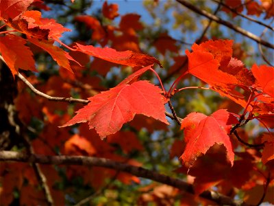 20210928-FS-Superior-SAR-005