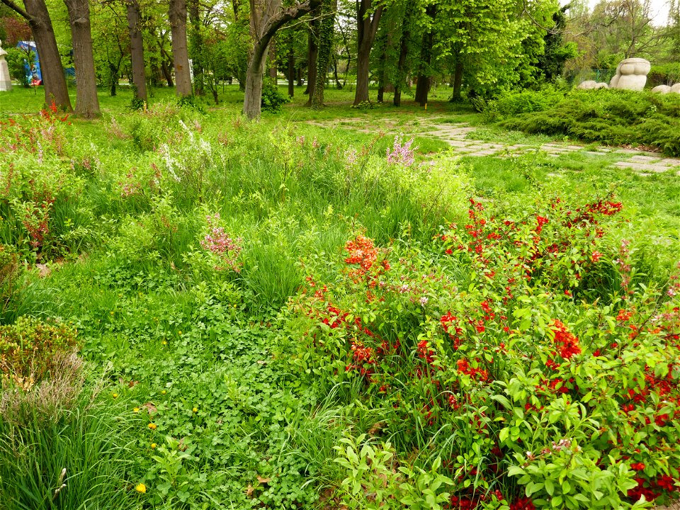 Herestrau Park in spring (33)