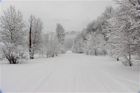 Winter Wonderland photo