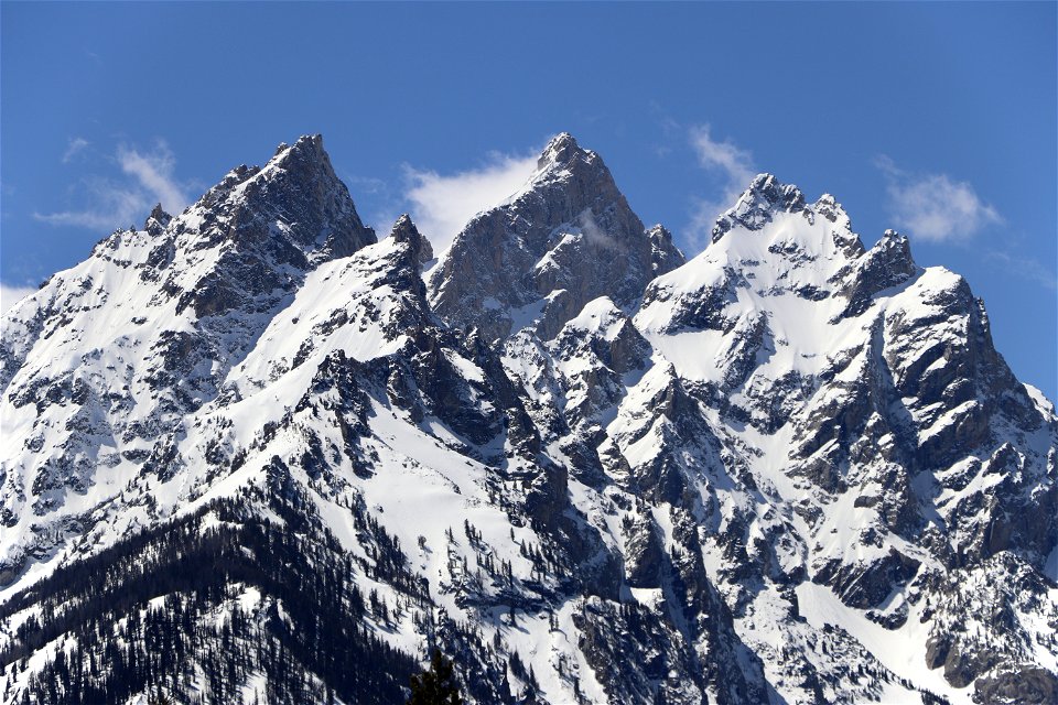 The Cathedral Group in the Spring