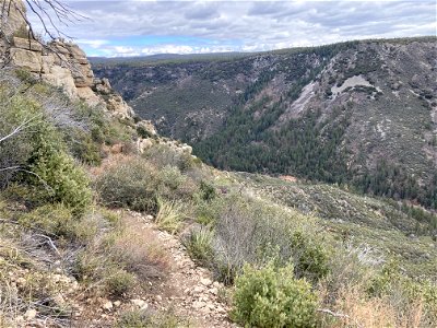 A.B. Young Trail photo