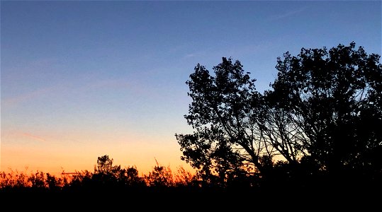 Another Stunning Sunset