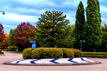 Autumn Kings Hill West Malling