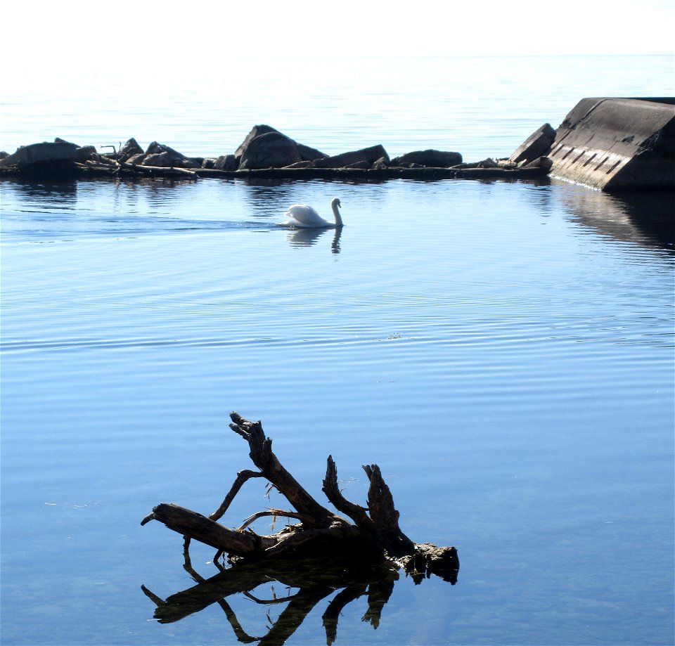 blue water3