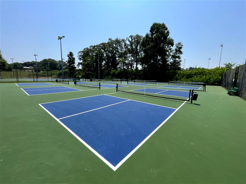 Day 210 - New Courts! These new courts just opened in Canton, Georgia. More pickleball!! photo