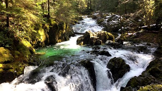 Stream in Opal Creek Wilderness, Willamette National Forest photo