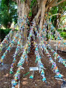 Wishes in tree Dali Museum St Petersburg FL