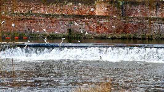 The River Dee Weir photo