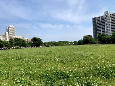 Park in Koto-ku photo