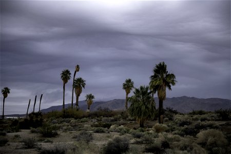 Storm clouds over the Oasis of Mara photo