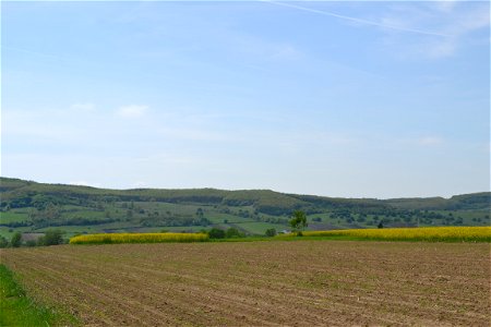 From the field