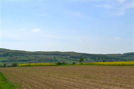 From the field photo