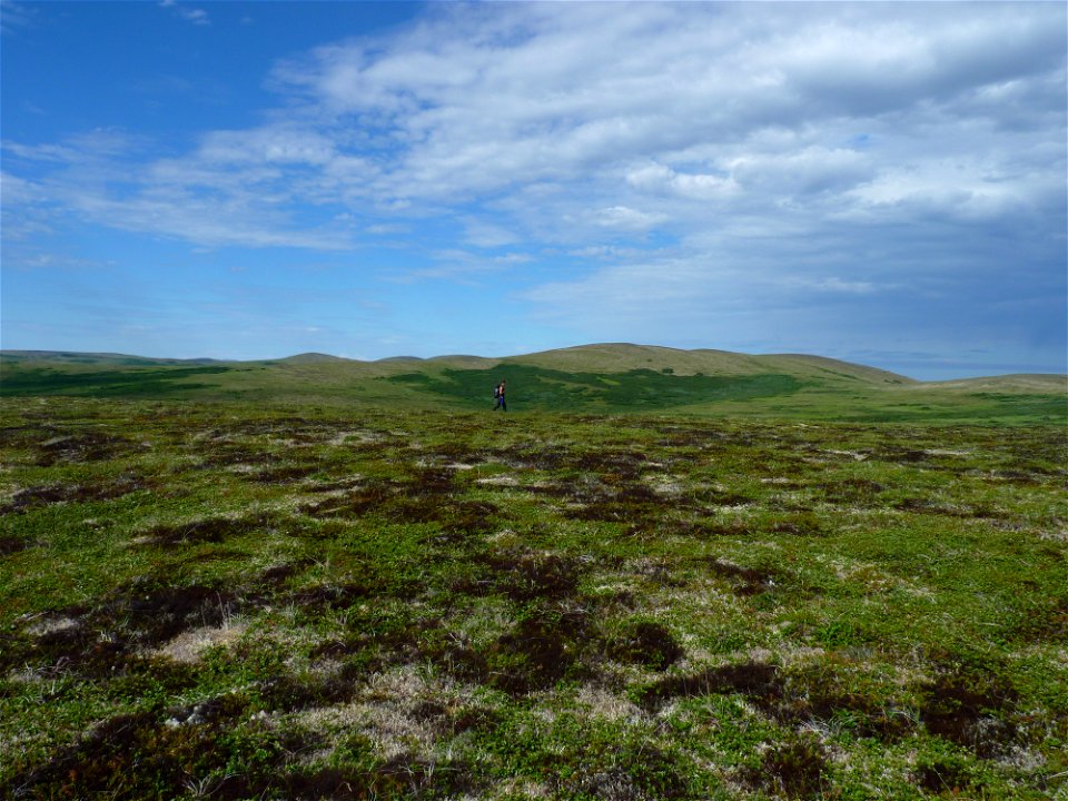 Andreafsky Wilderness photo