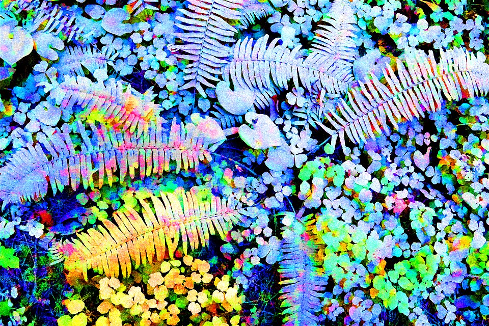 PHOTOSHOP WATERCOLOR STUDIES - Dust on roadside plants, del norte co, ca -11