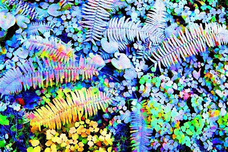 PHOTOSHOP WATERCOLOR STUDIES - Dust on roadside plants, del norte co, ca -11