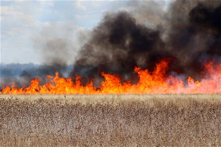 Vegetation Burning Lake Andes Wetland Management District South Dakota