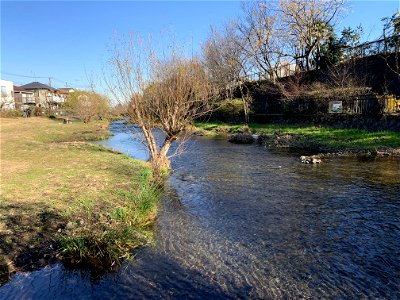 Ochiai River in Minamisawa, Higashikurume-shi in mid-December