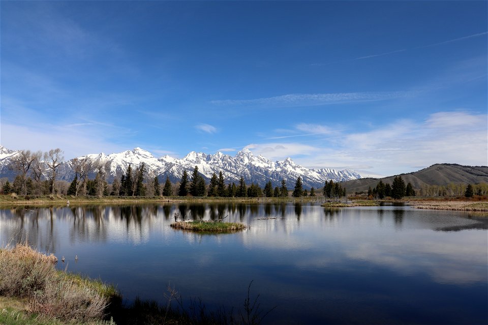 Teton Views on the National Elk Refuge