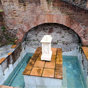 Spring of Juturna Roman Forum Rome Italy Spring water from 6th century BC where Castor and Pollux watered horses