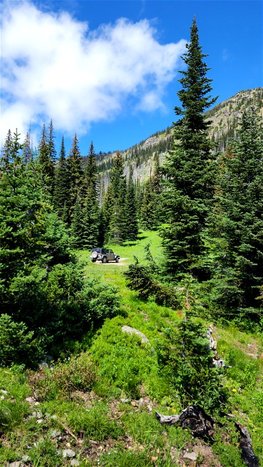 HART PASS - SLATE PEAK (07-17-2022) okanogan co, wa -15