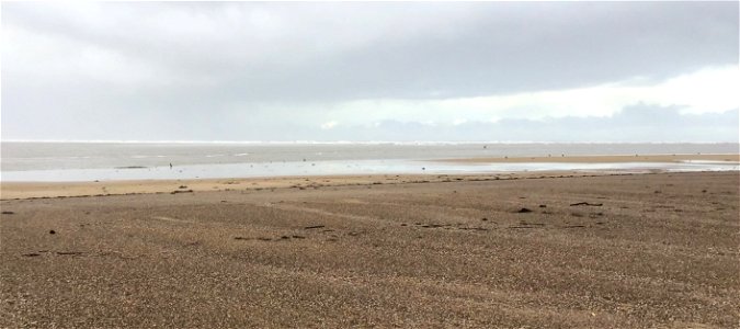 Cormorants Fishing, Rain Clowds, Crow Point, Saunton Sands Beach, Braunton , Devon. Apple Ipod Photo . 8th Jan 2023
