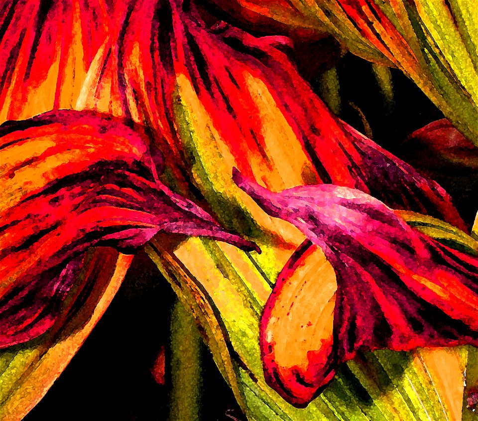 CALIFORNIA CORN LILY - PHOTOSHOP WATERCOLOR -02h