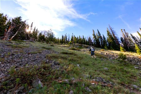 Custer-Gallatin National Forest, Emigrant Peak Trail: climbing through treeline