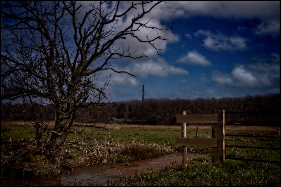 The Old Tree at the Gate photo