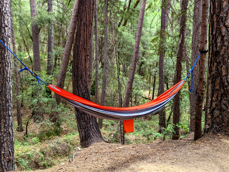 Empty Hammock at South Yuba Campground