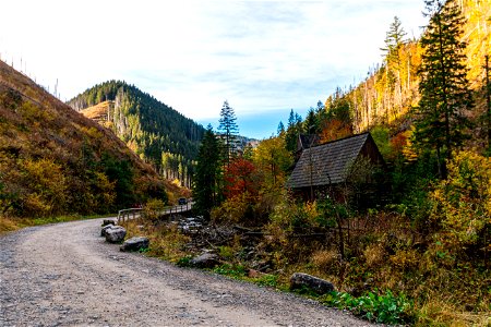 Dolina Chochołowska photo