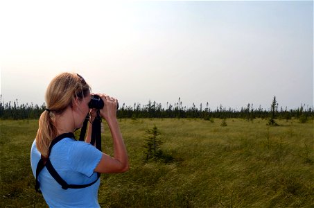 Scanning the horizon for birds. photo