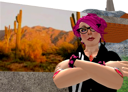 Intellagirl-ing the Virtual Desert