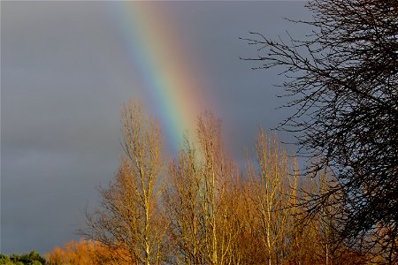 Malkin's Bank Rainbow photo
